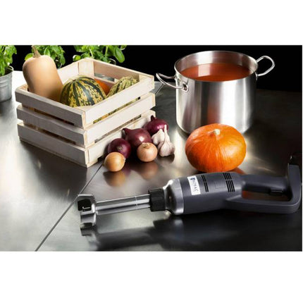 Strong blender blender hand robot arm length 250mm 350W 230V Royal Catering