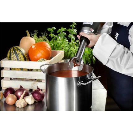 Strong blender blender hand robot arm length 250mm 350W 230V Royal Catering