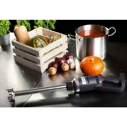 Strong blender blender hand robot arm length 400mm 500W 230V Royal Catering