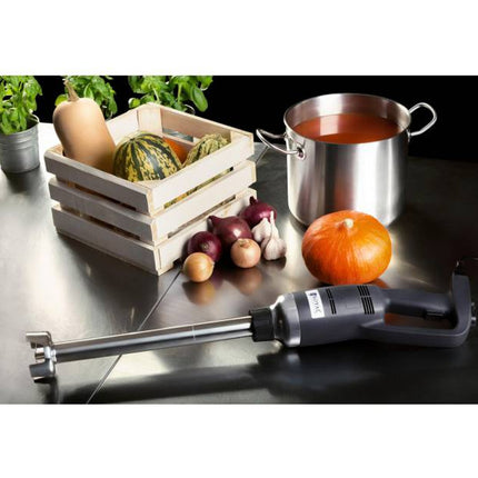 Strong blender blender hand robot length 400 mm 500 W 230 V Royal Catering