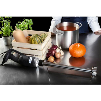 Strong blender blender hand robot arm length 500mm 500W 230V Royal Catering