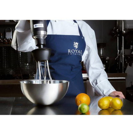 Jaudīgs blenderis blenderis rokas robots ar putotāju 500W 230V Royal Catering 