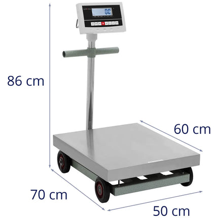 Steinberg Systems Warehouse check platform scale 50 x 60 cm 600 kg / 0.1 kg – image 6