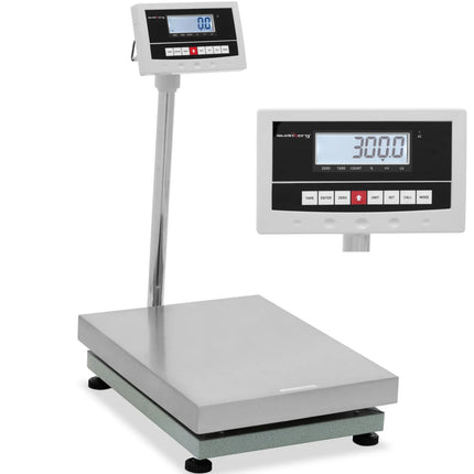 Steinberg Systems Warehouse platform scale 45 x 60 cm 300 kg / 0.01 kg