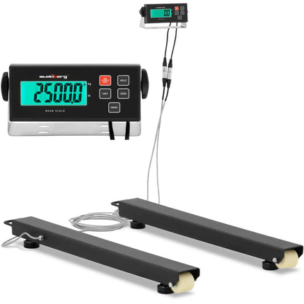 Steinberg Systems Skid beam pallet scale LCD 2500 / 0.5 kg 1000 x 100 mm