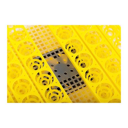 Incubator hatcher for hatching up to 96 eggs + ooscope 120W – image 5