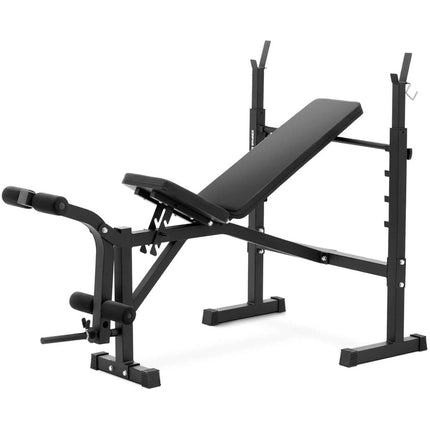 GYMREX weight bench adjustable up to 100 kg