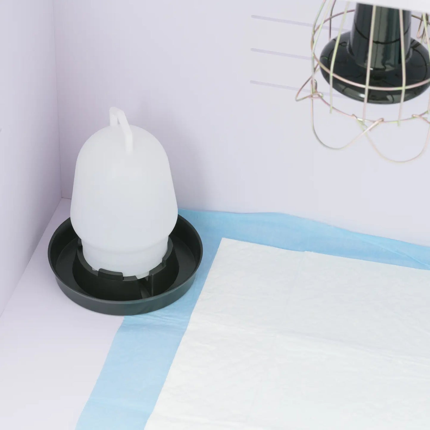 WIESENFIELD Brooder box for rearing chicks up to 36C, 78 x 40 x 42 cm – image 3