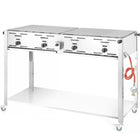 Gas grill 