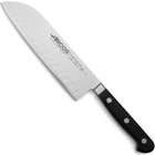Arcos Santoku knife with ball grinding ÓPERA, length 180/303 mm