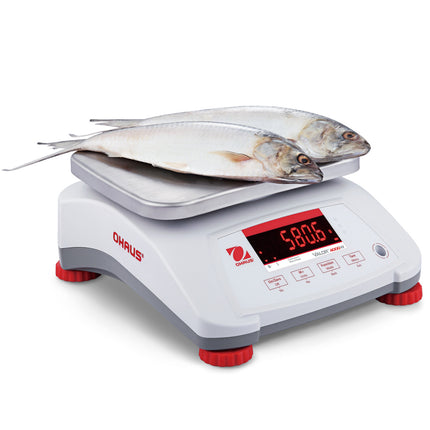 VALOR 4000 svari ar virtuves kalibrēšanu ūdensizturīgs ēdamistabas IP68 LED 1.5Kg / 0.5g - OHAUS V41PWE1501T-M 