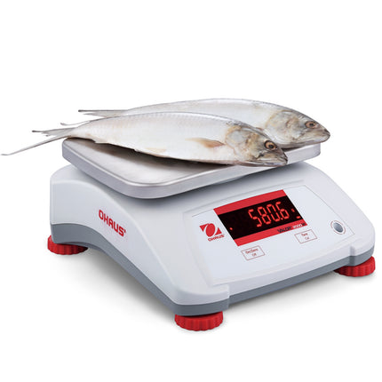 Kitchen weight waterproof IP68 VALOR 2000 30kg / 5kg - OHAUS V22PWE30T – image 4