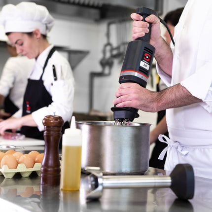 SAMMIC Hand blender with mixing arm and killing arm MB-21 300 W – image 3