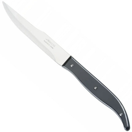 Arcos STEAK BASIC steak knife 110/230 mm - black