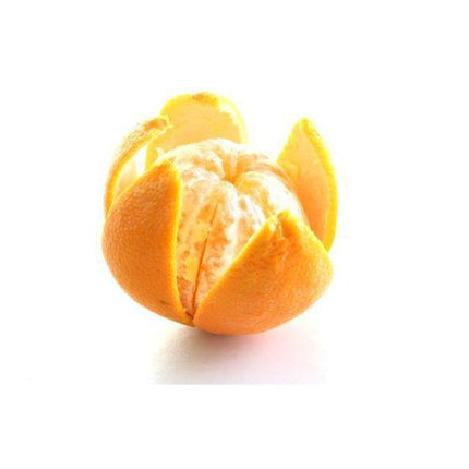 Nerūsējošā tērauda citrusaugļu mizošanas nazis - Hendi 856055 
