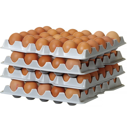 Hendi Egg tray for OVOBOX 120 container - set of 4 pieces. – image 4