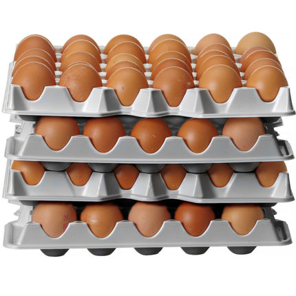 Hendi Egg tray for OVOBOX 120 container - set of 4 pieces. – image 5